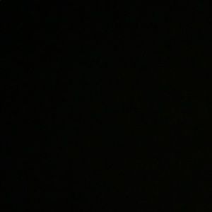 Meet your Posher, Alvin